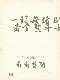 一头母猪 BY 黄金圣斗士