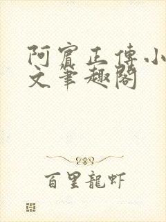 阿宾正传小说全文笔趣阁