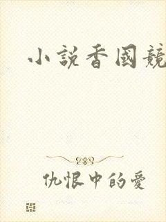 小说香国竞艳