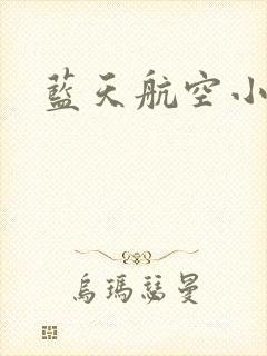 蓝天航空小说