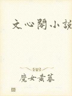 文心阁小说
