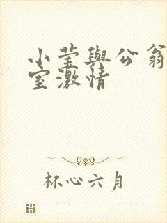 小莹与公翁办公室激情