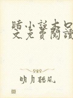 赌小说木口银全文免费阅读笔趣阁