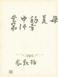 掌中的美母版主第14章