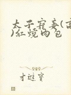 太子宠妾(高肉)红烧肉包