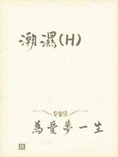 潮湿(H)