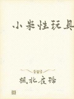 小米性玩具日记