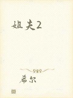 姐夫2