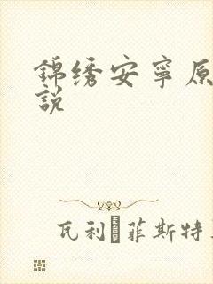锦绣安宁原著小说