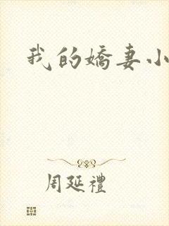 我的娇妻小说