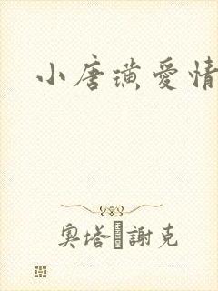 小唐璜爱情历史