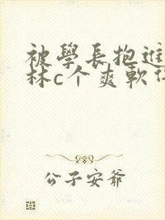 被学长抱进小树林c个爽软件