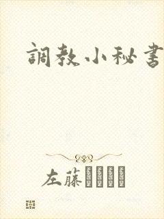 调教小秘书