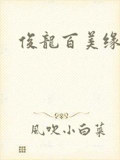 俊龙百美缘小说