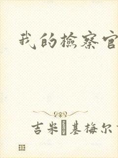 我的检察官先生