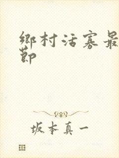 乡村活寡最新章节