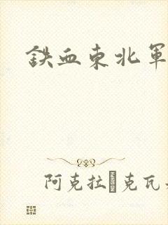 铁血东北军