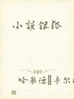 小说银狐