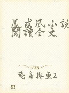 凤求凰小说免费阅读全文