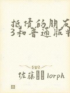 抵债的朋友麦子3和普通版对比