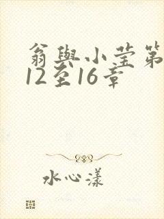 翁与小莹第十部12至16章