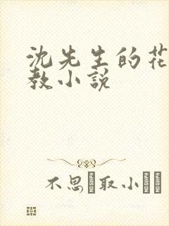 沈先生的花式管教小说