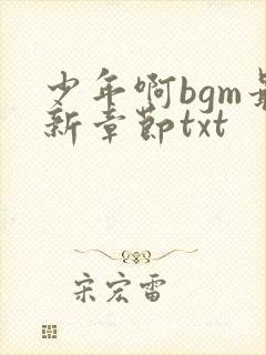 少年啊bgm最新章节txt