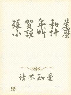 张贺年和叶繁姿小说叫什么名字