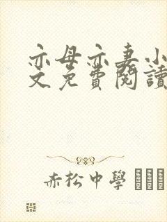 亦母亦妻小说全文免费阅读