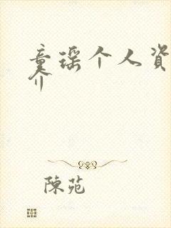 童瑶个人资料简介