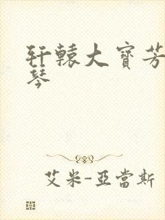 轩辕大宝芳菲雅琴