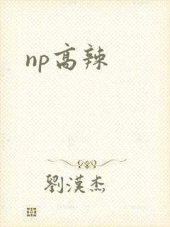 np高辣
