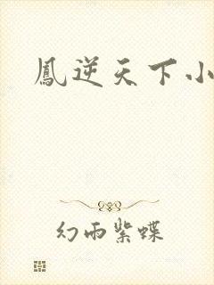 凤逆天下小说