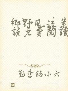 乡野风流叶凡小说免费阅读