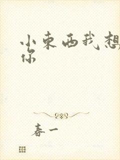 小东西我想弄坏你