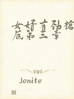 女婿有劲枪枪到底第三章