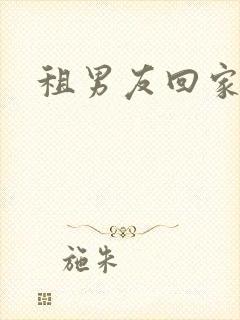 租男友回家过年