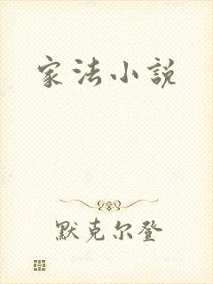 家法小说