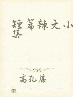 短篇辣文小说合集