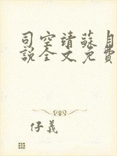 司空靖苏月汐小说全文免费阅读