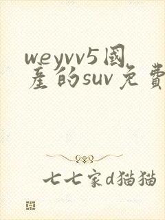 weyvv5国产的suv免费