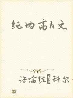 纯肉高h文