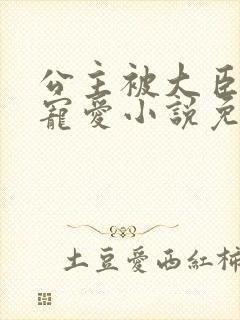 公主被大臣轮番宠爱小说免费阅读