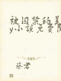 被囚禁的美人by小说免费阅读