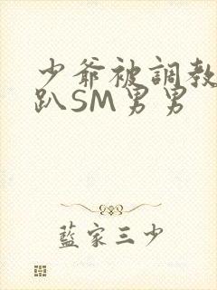 少爷被调教室跪趴SM男男