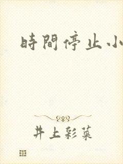 时间停止小说