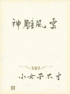 神雕风云