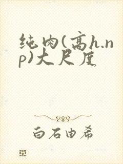 纯肉(高h.np)大尺度