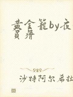 黄金笼by夜很贫瘠