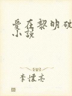 爱在黎明破晓前小说